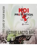 Active Lacto Bac 5 L